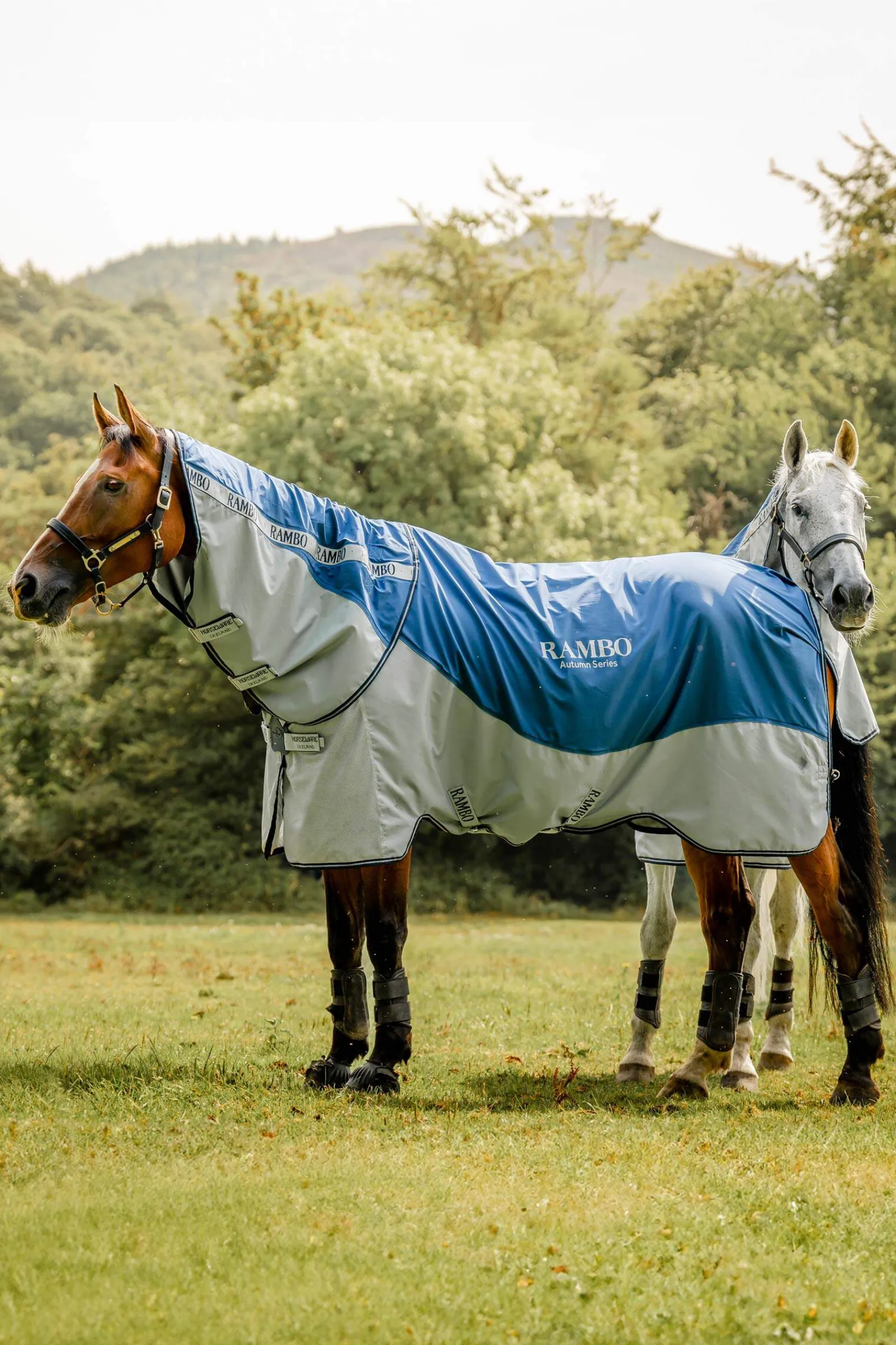 New Rambo Autumn Series Turnout Rug With Liner (0g / 100g) Lightweight Turnout Rugs