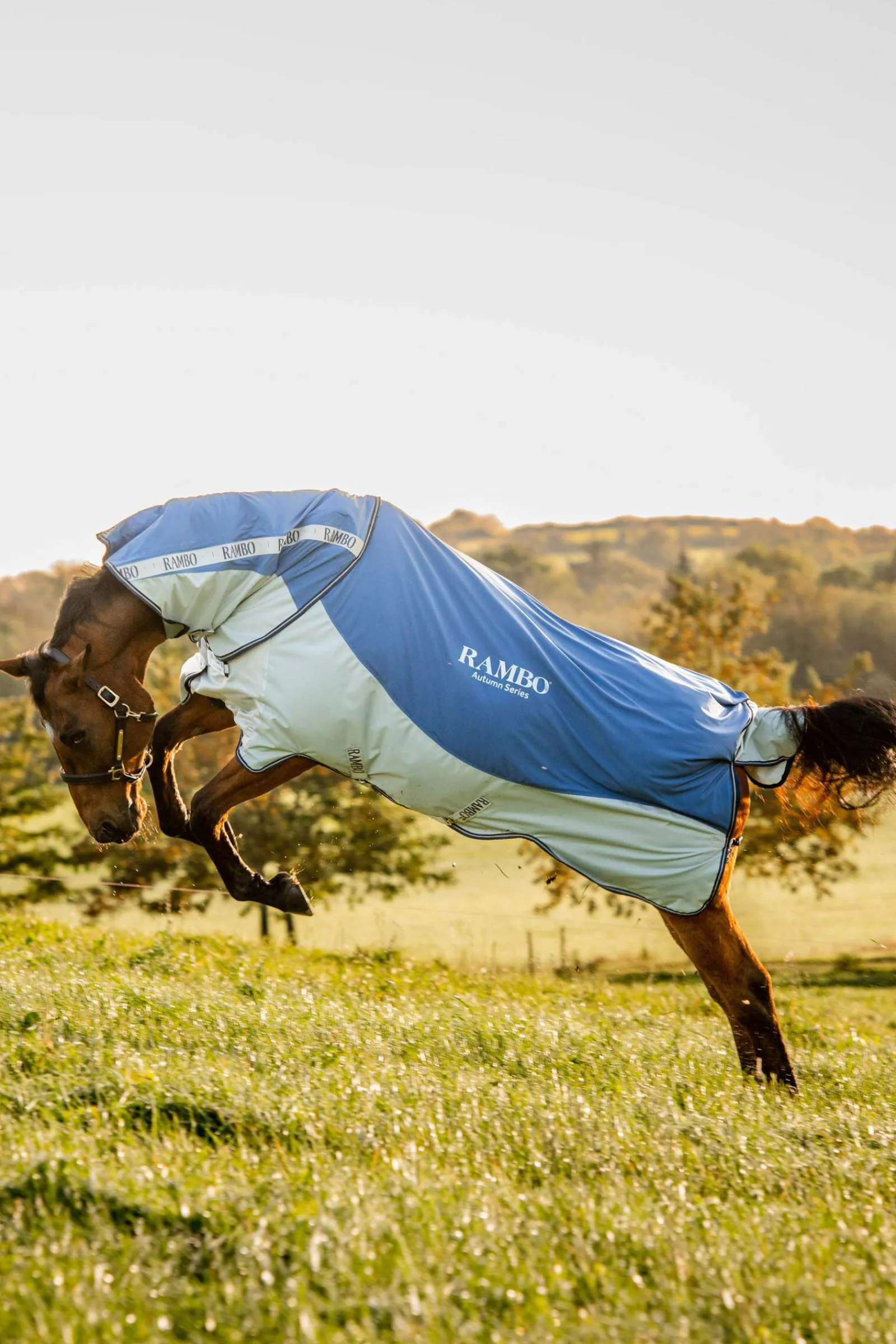New Rambo Autumn Series Turnout Rug With Liner (0g / 100g) Lightweight Turnout Rugs