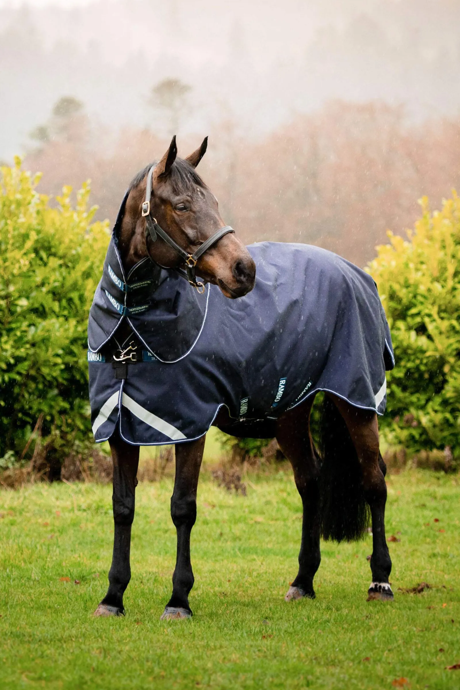 Best Rambo Duo Force Turnout incl. Detachable Hood, 0g Lightweight Turnout Rugs