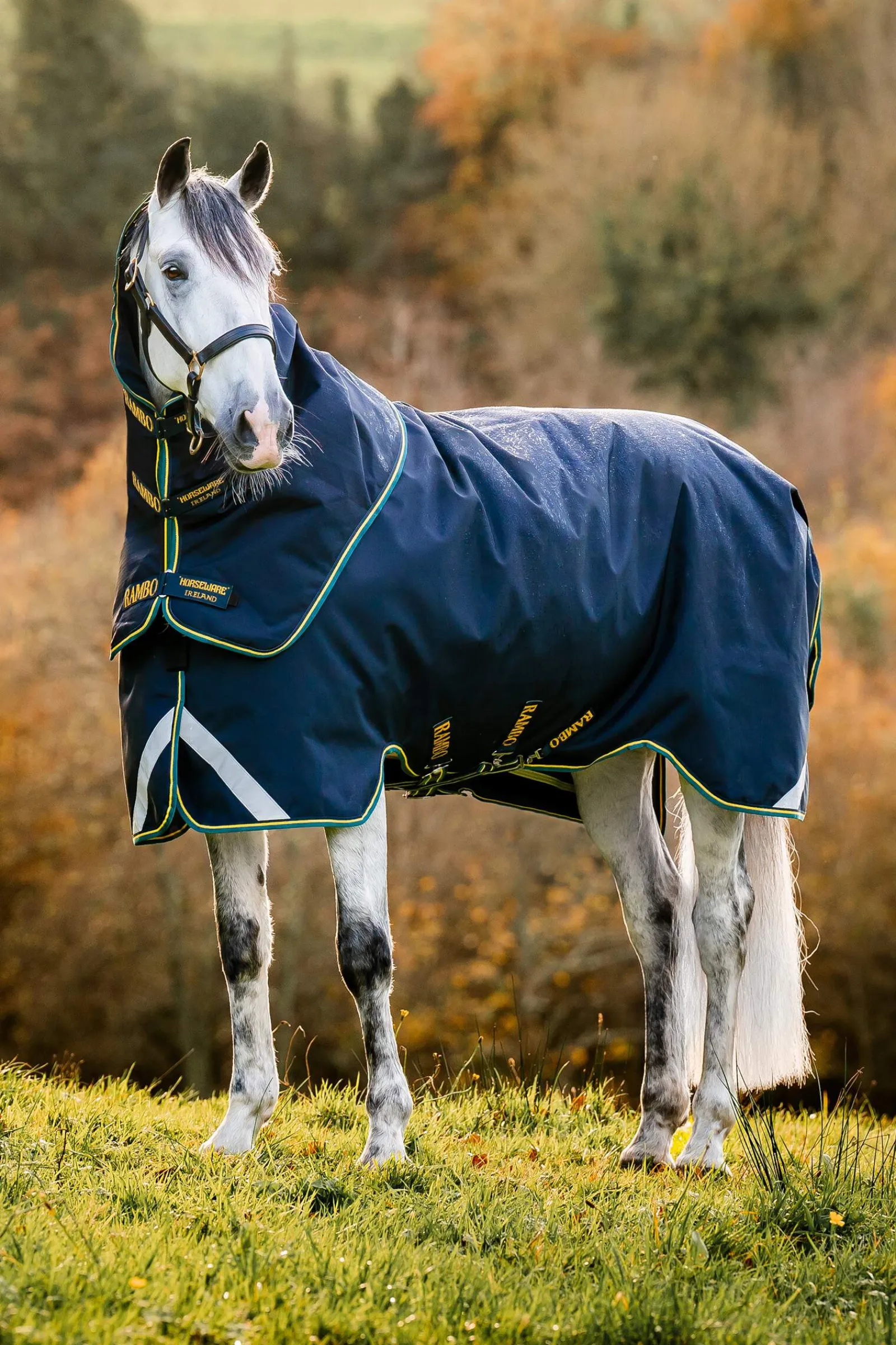 Clearance Rambo Duo Force 2.0 (100g + 100g + 300g) Medium & Heavyweight Turnout Rugs|Lightweight Turnout Rugs