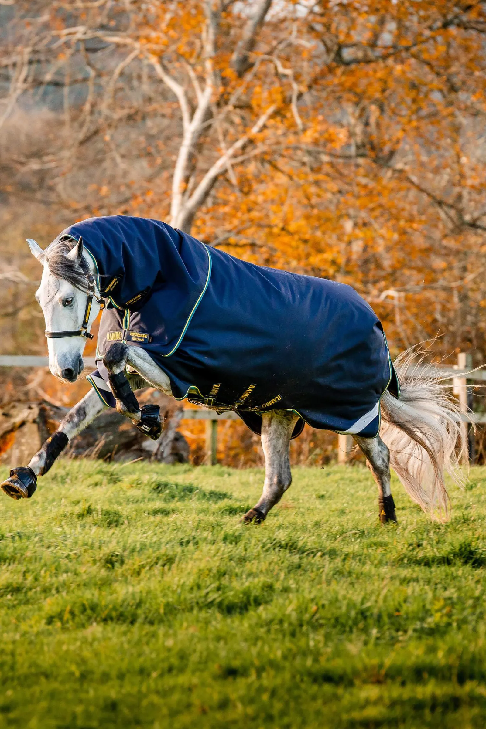 Clearance Rambo Duo Force 2.0 (100g + 100g + 300g) Medium & Heavyweight Turnout Rugs|Lightweight Turnout Rugs