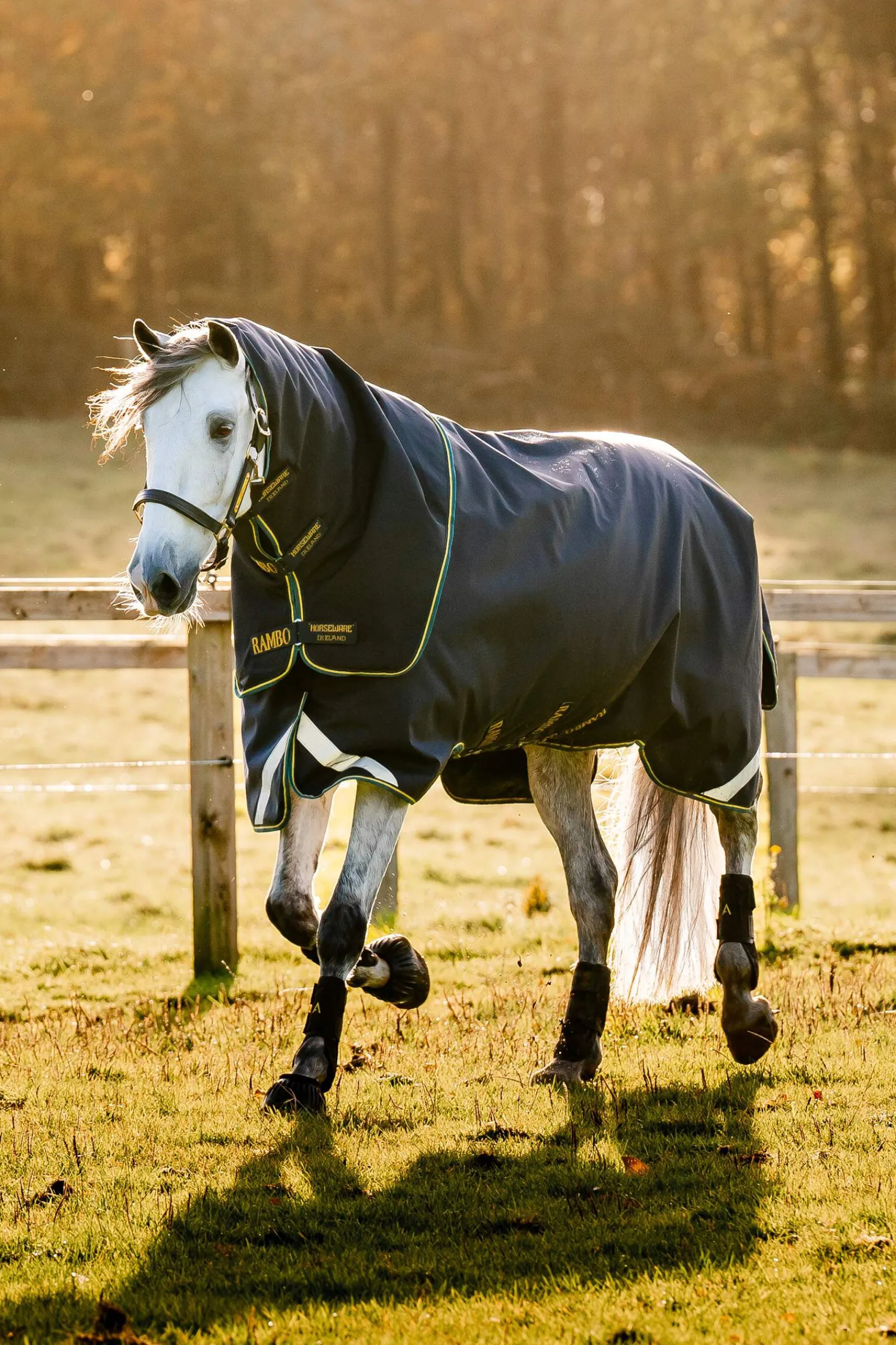 Clearance Rambo Duo Force 2.0 (100g + 100g + 300g) Medium & Heavyweight Turnout Rugs|Lightweight Turnout Rugs