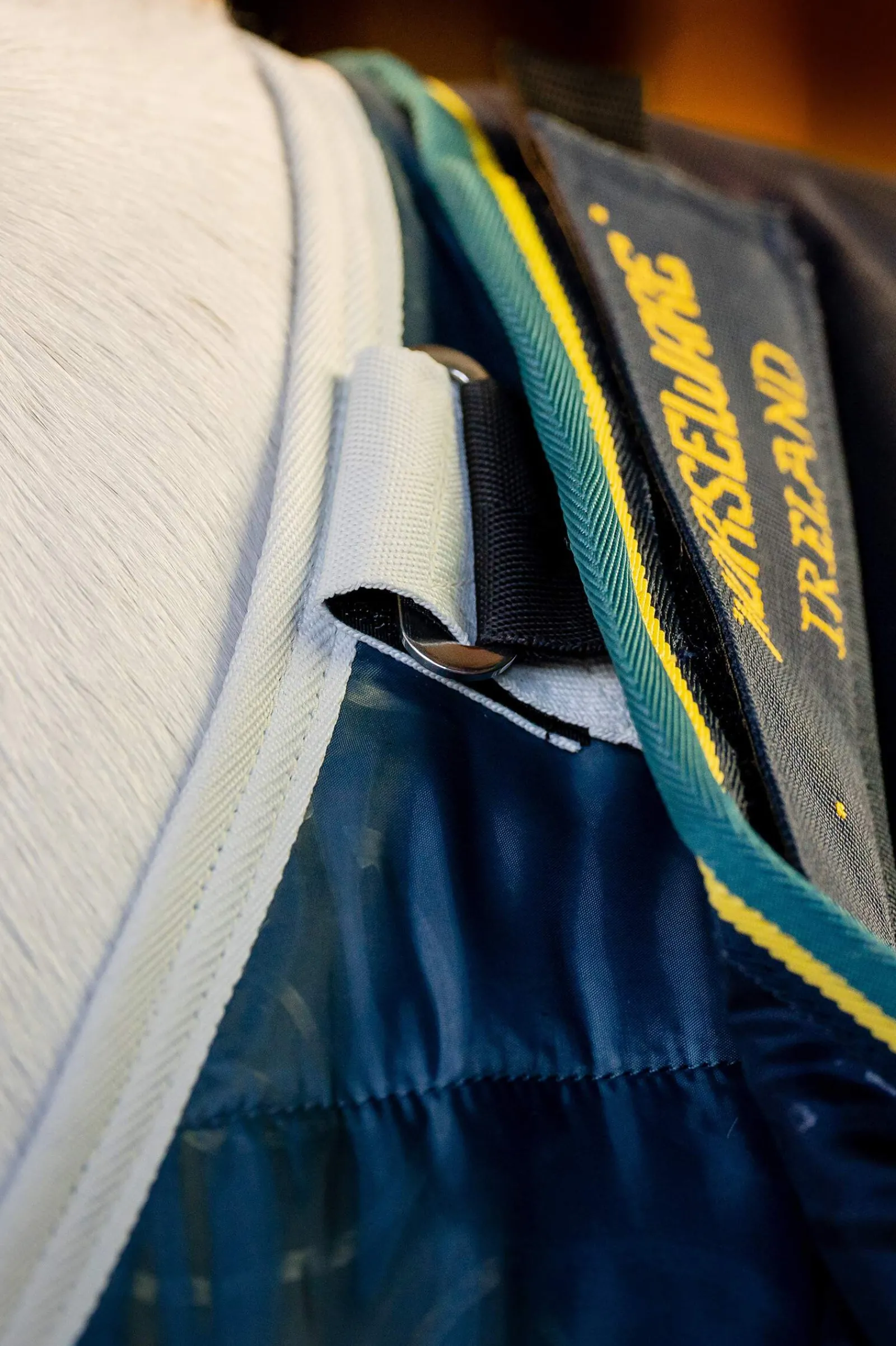 Clearance Rambo Duo Force 2.0 (100g + 100g + 300g) Medium & Heavyweight Turnout Rugs|Lightweight Turnout Rugs