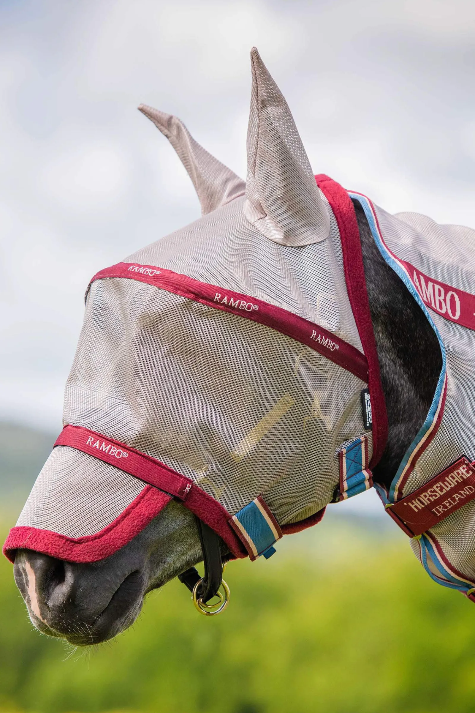 Fashion Rambo Flymask Fly Masks & Fringes|Fly Masks & Fringes