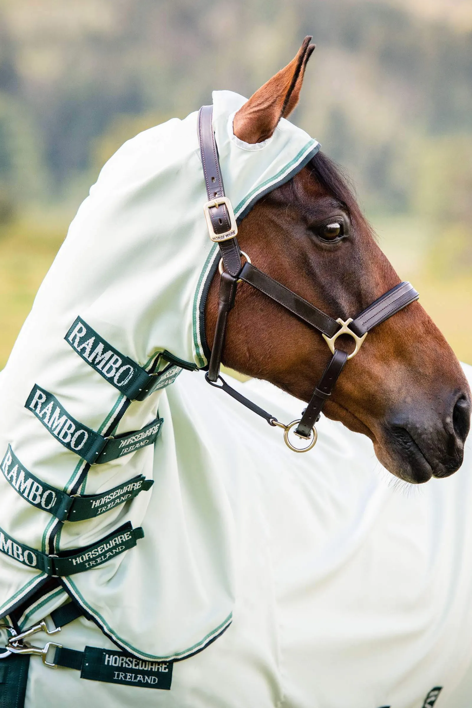 Outlet Rambo Hoody Fly Rug With Full Neck Fly Rugs|Fly Masks & Fringes