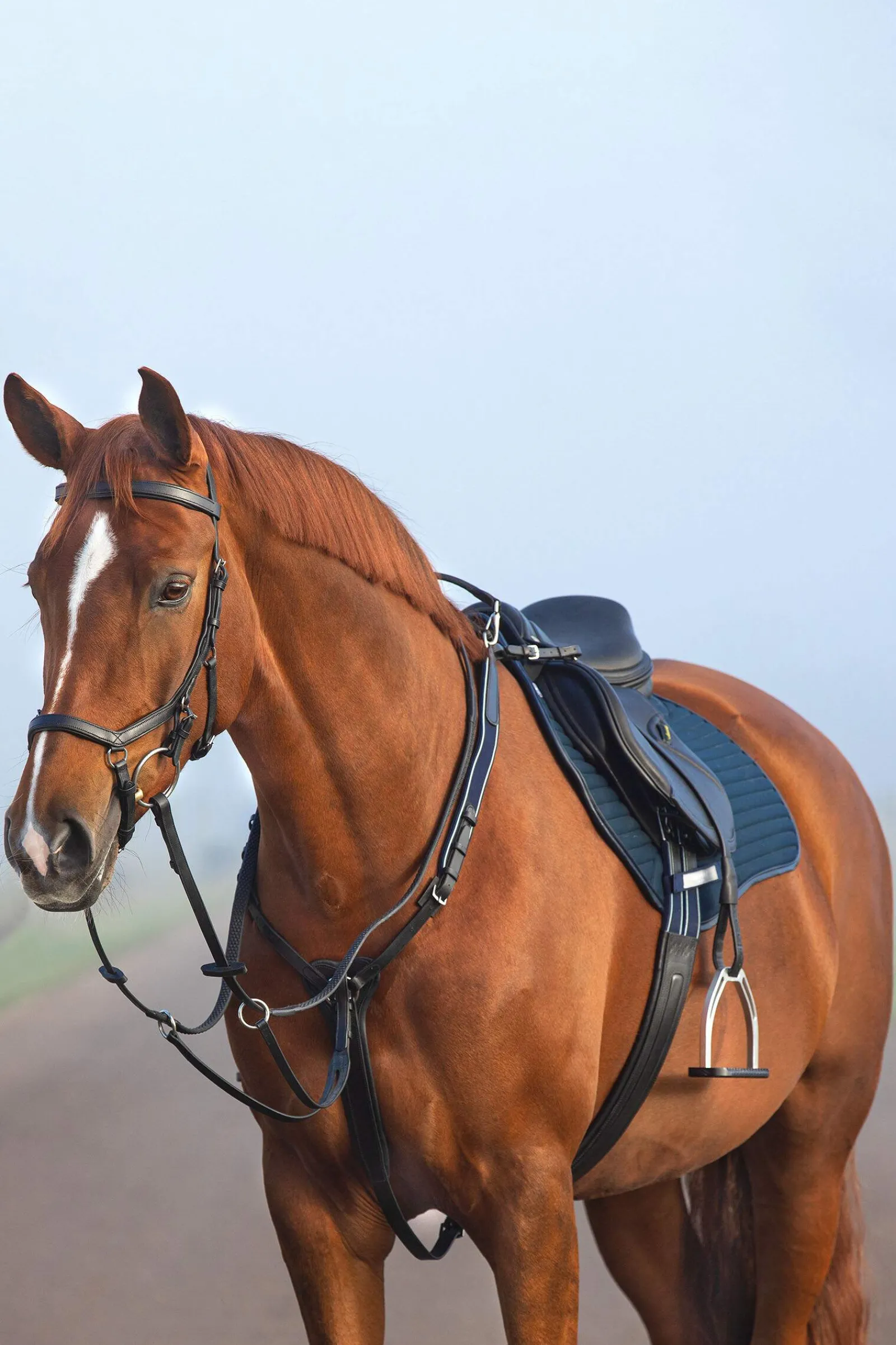 Hot Rambo Micklem Breastplate Breastplates