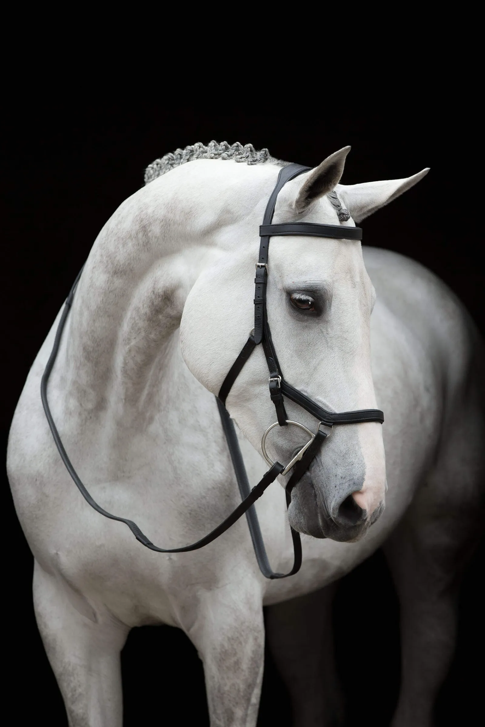 Discount Rambo Micklem Competition Bridle Bridles & Nosebands