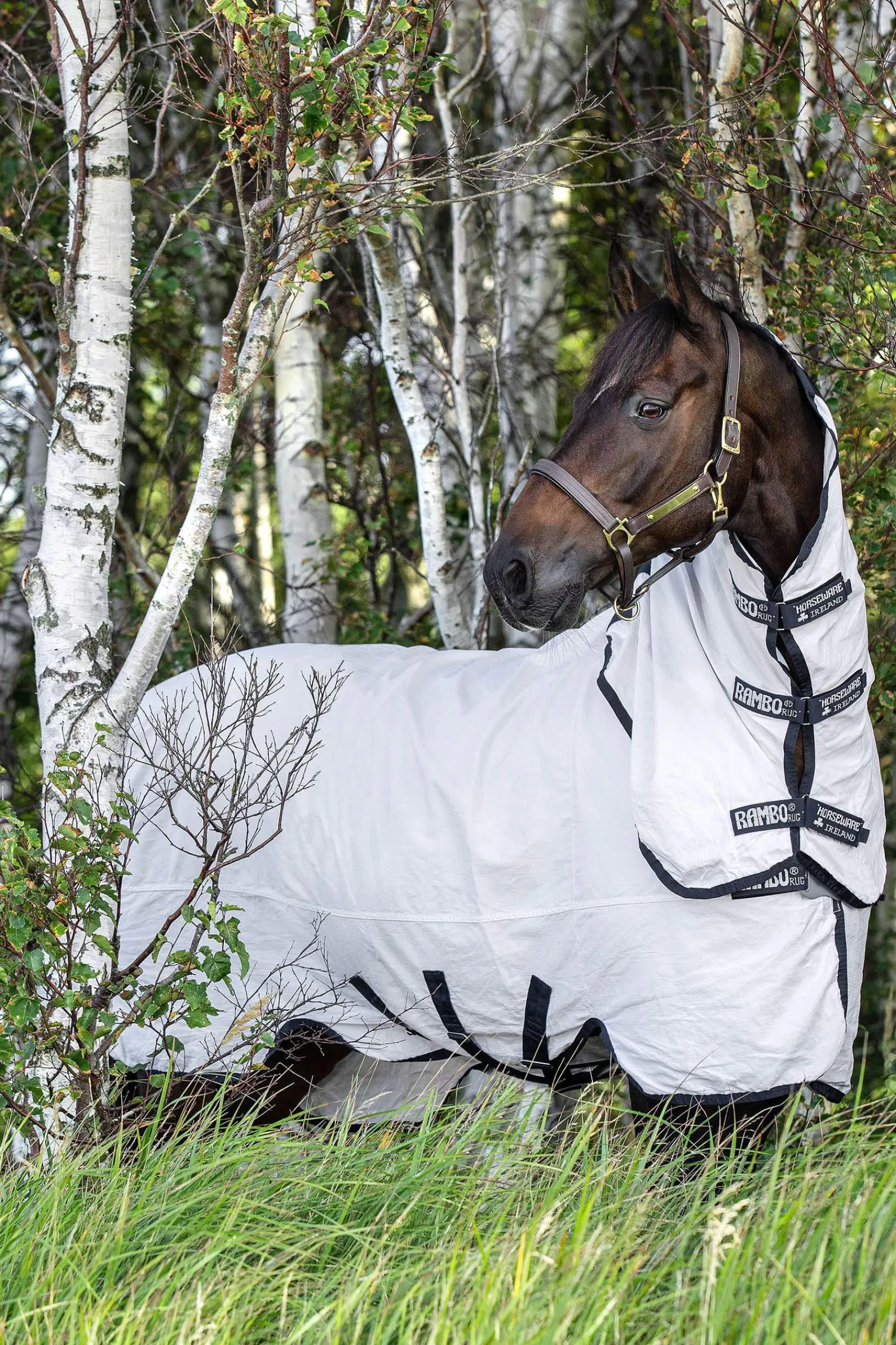 Discount Rambo Natura Fly Rug With Detachable Neck Fly Rugs|Fly Rugs