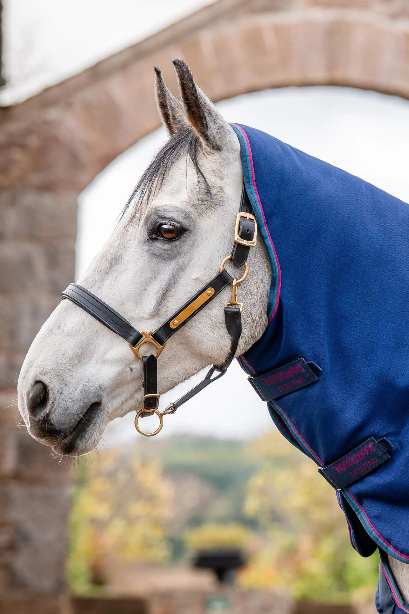 Sale Rambo Optimo Plus Turnout Med Bundle (0g + 200g) Medium & Heavyweight Turnout Rugs