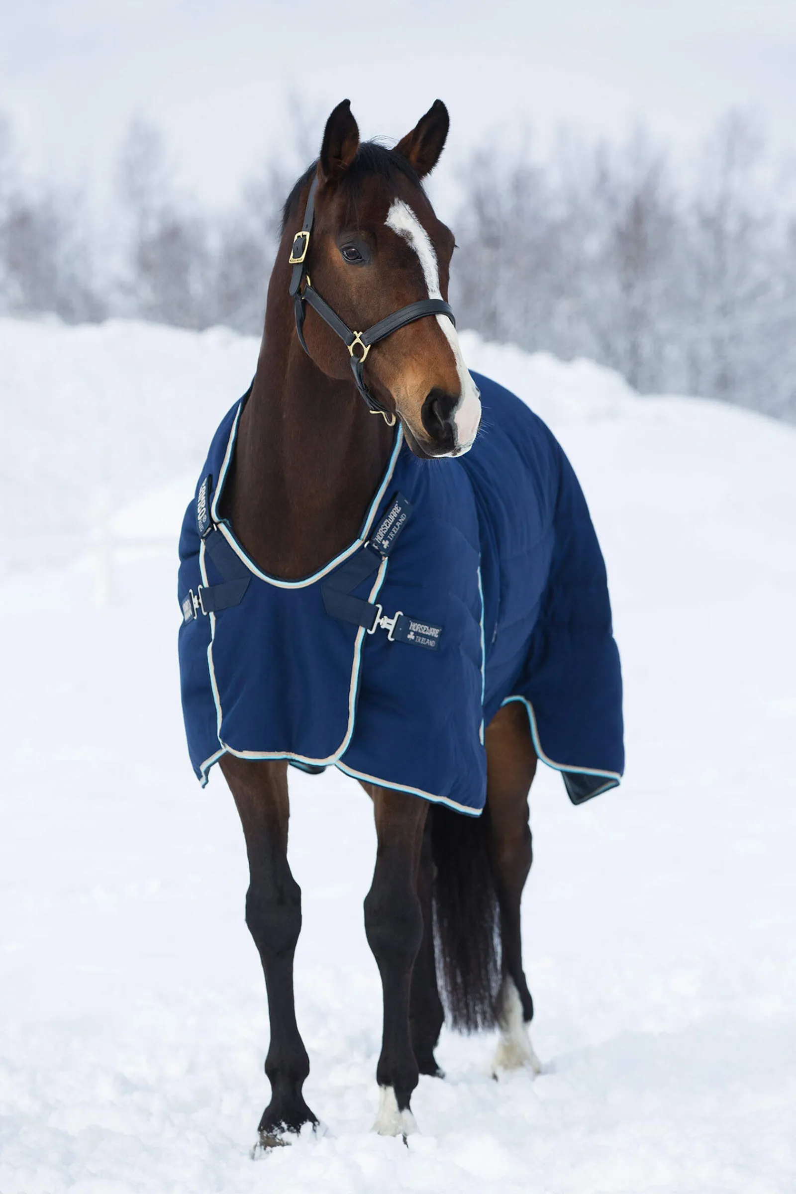 Outlet Rambo Optimo Stable Rug, 400g Stable Rugs & Liners