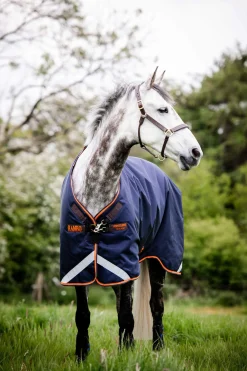 Best Rambo Original Turnout with Leg Arches, 100g Lightweight Turnout Rugs