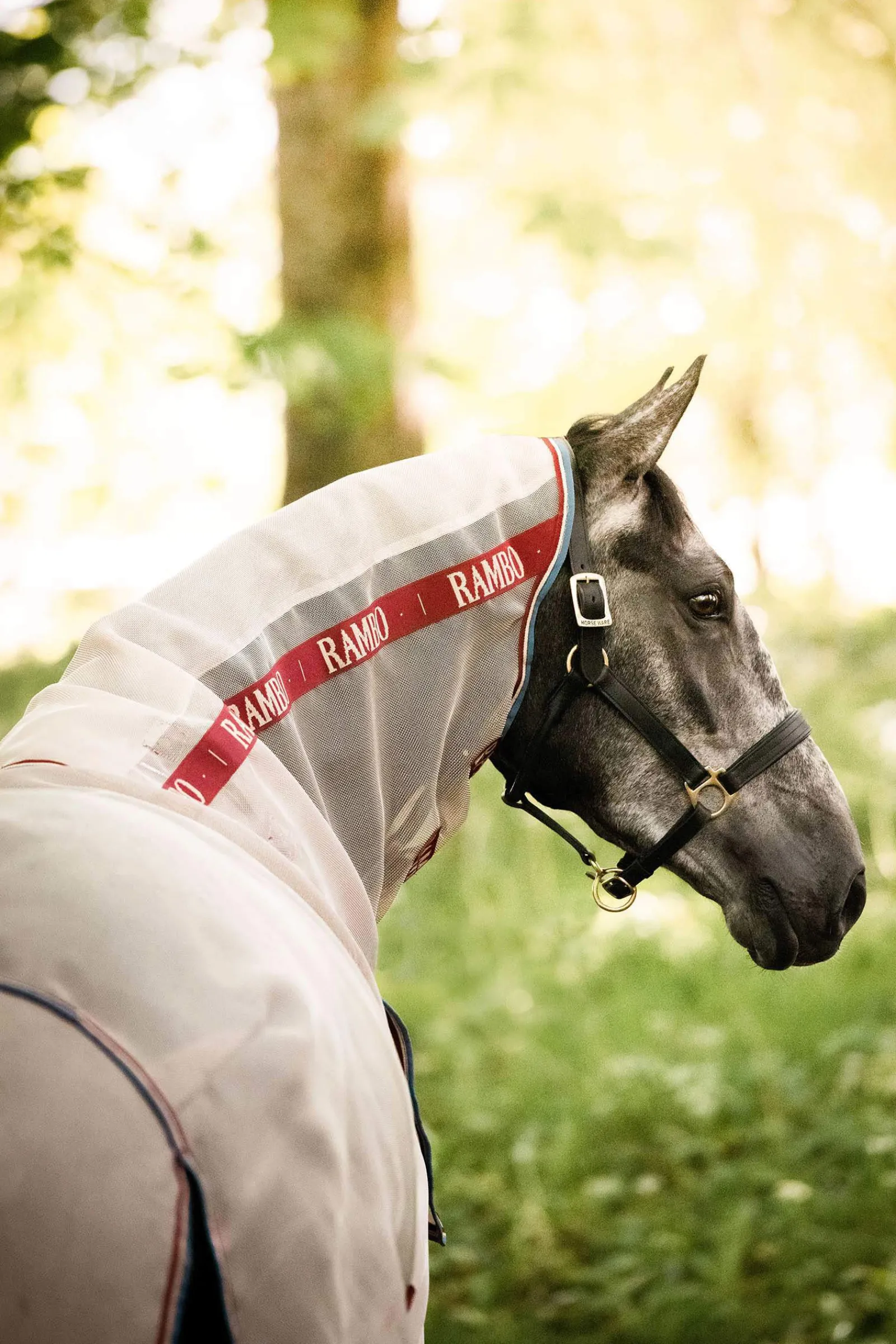 Discount Rambo Protector Fly Rug With Detachable Neck and Disc Front Fly Rugs|Fly Rugs