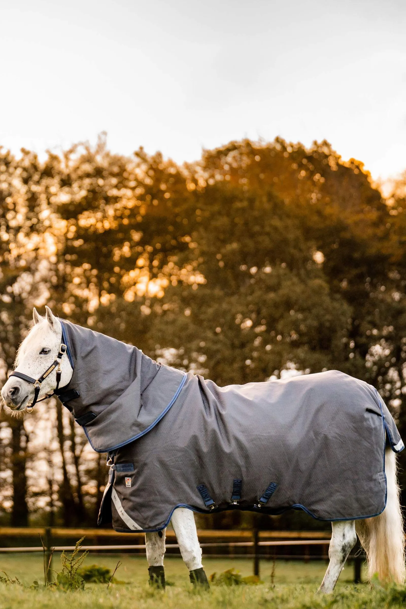 Outlet Rhino Hexstop Plus Vari-Layer Turnout Rug, 250g Medium & Heavyweight Turnout Rugs|Lightweight Turnout Rugs