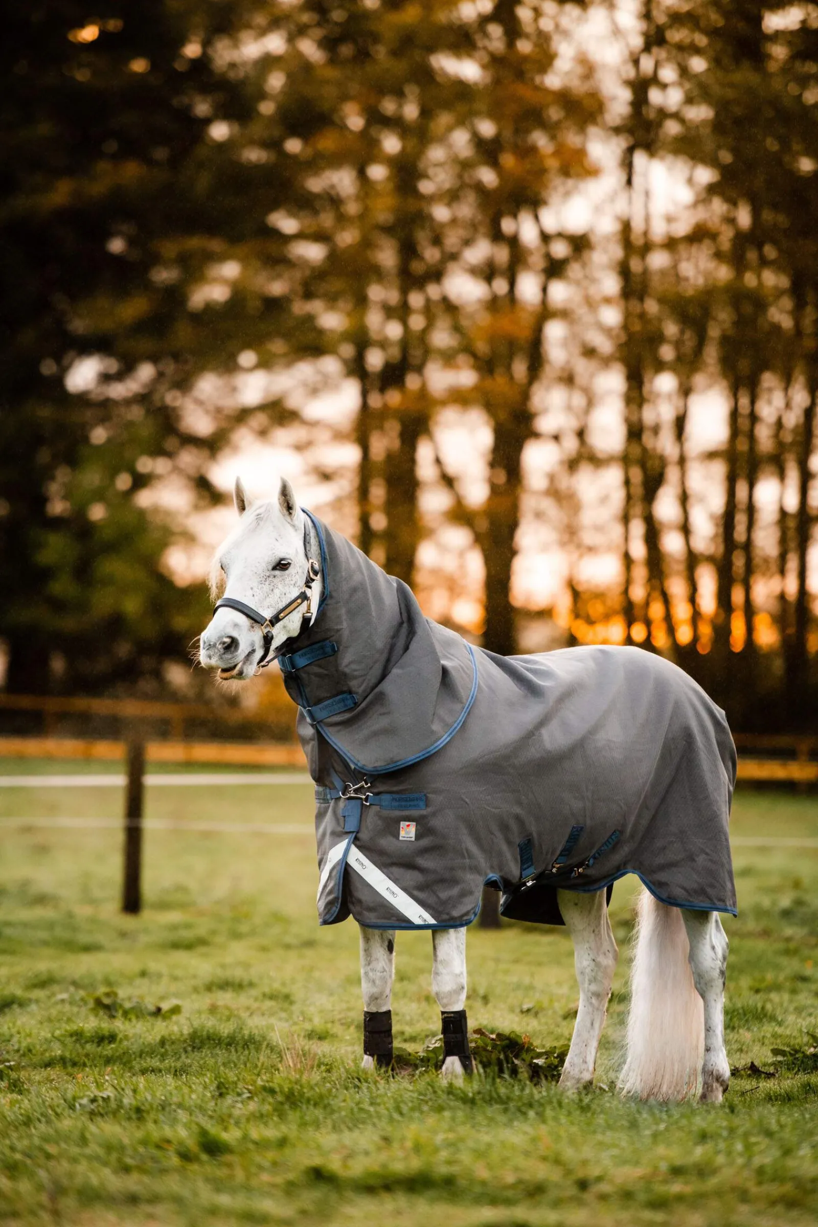 Outlet Rhino Hexstop Plus Vari-Layer Turnout Rug, 250g Medium & Heavyweight Turnout Rugs|Lightweight Turnout Rugs