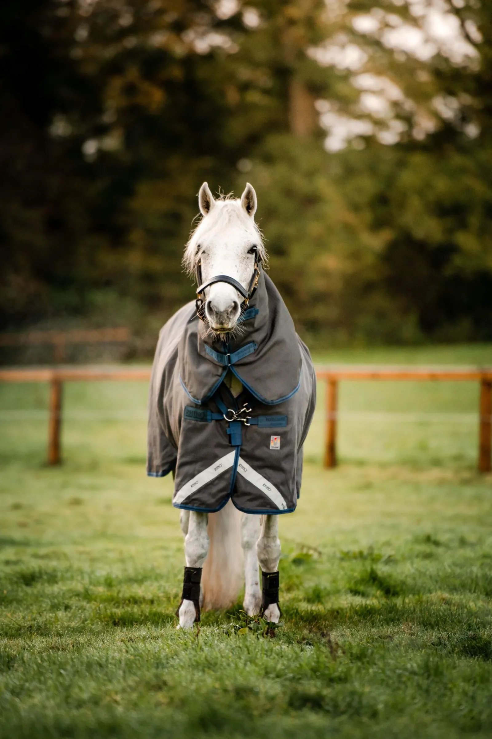 Outlet Rhino Hexstop Plus Vari-Layer Turnout Rug, 250g Medium & Heavyweight Turnout Rugs|Lightweight Turnout Rugs