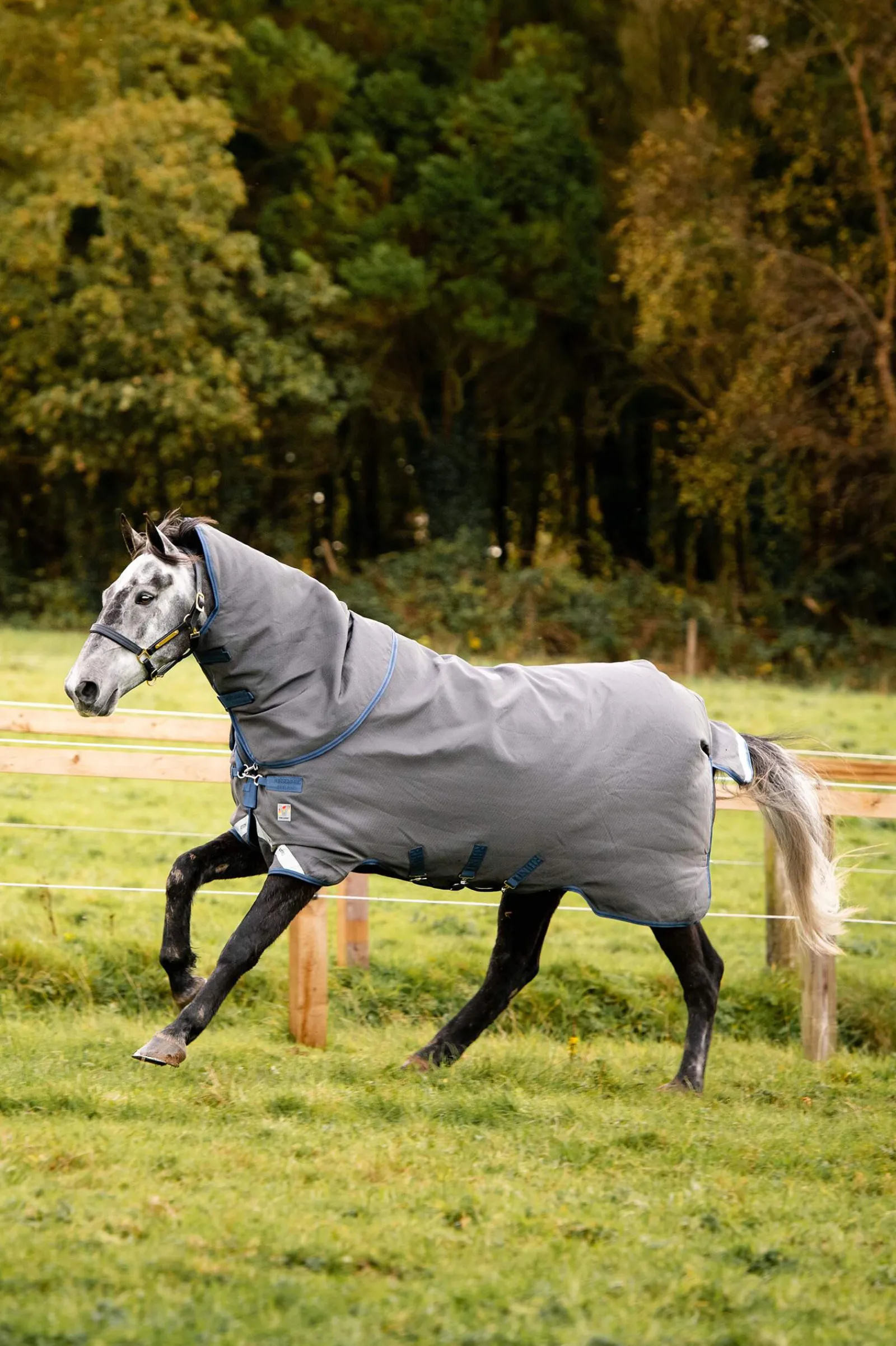 Online Rhino Plus HexSTOP, 0g Lightweight Turnout Rugs