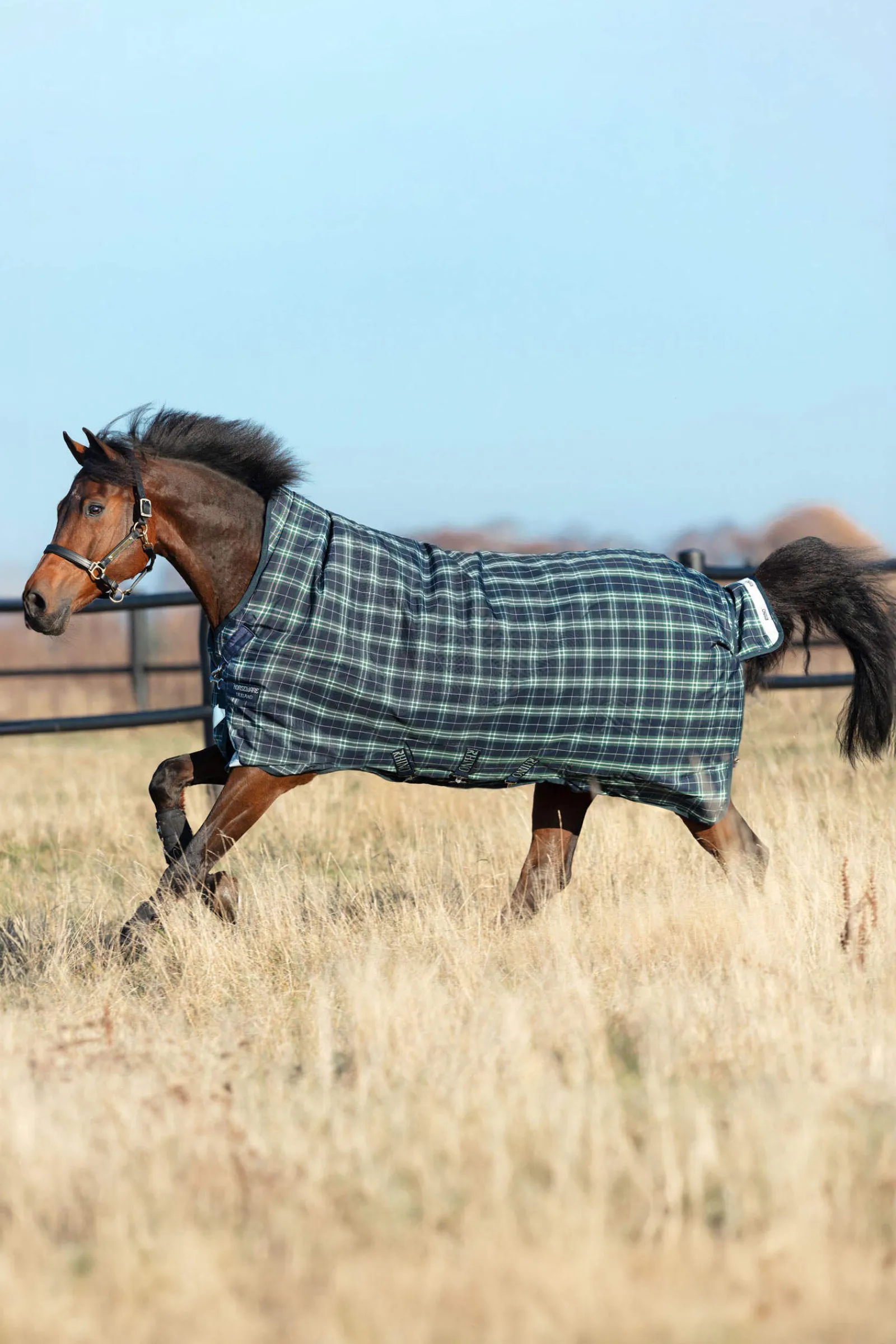 Sale Rhino Wug Turnout 100g Lightweight Turnout Rugs