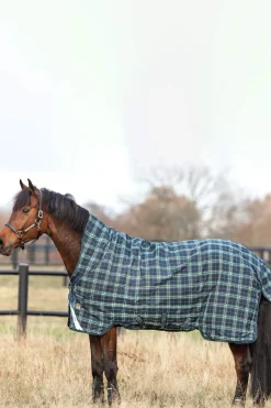 Best Rhino Wug Vari-Layer Turnout Rug with High Neck, 250g Medium & Heavyweight Turnout Rugs