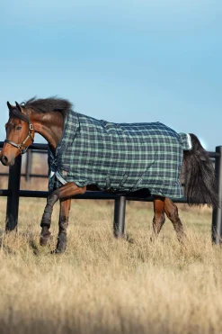 Best Rhino Wug Vari-Layer Turnout Rug with High Neck, 250g Medium & Heavyweight Turnout Rugs