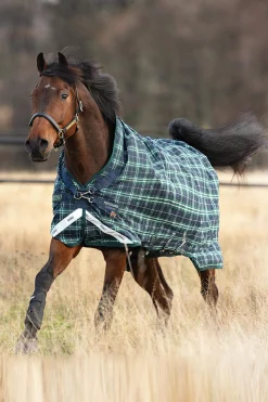 Best Rhino Wug Vari-Layer Turnout Rug with High Neck, 250g Medium & Heavyweight Turnout Rugs