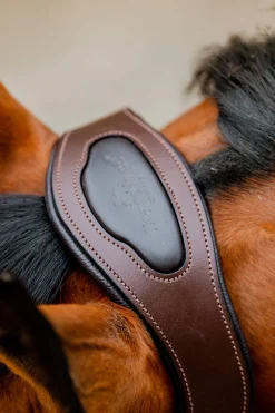 Discount Signature Competition Headcollar Headcollars & Halters