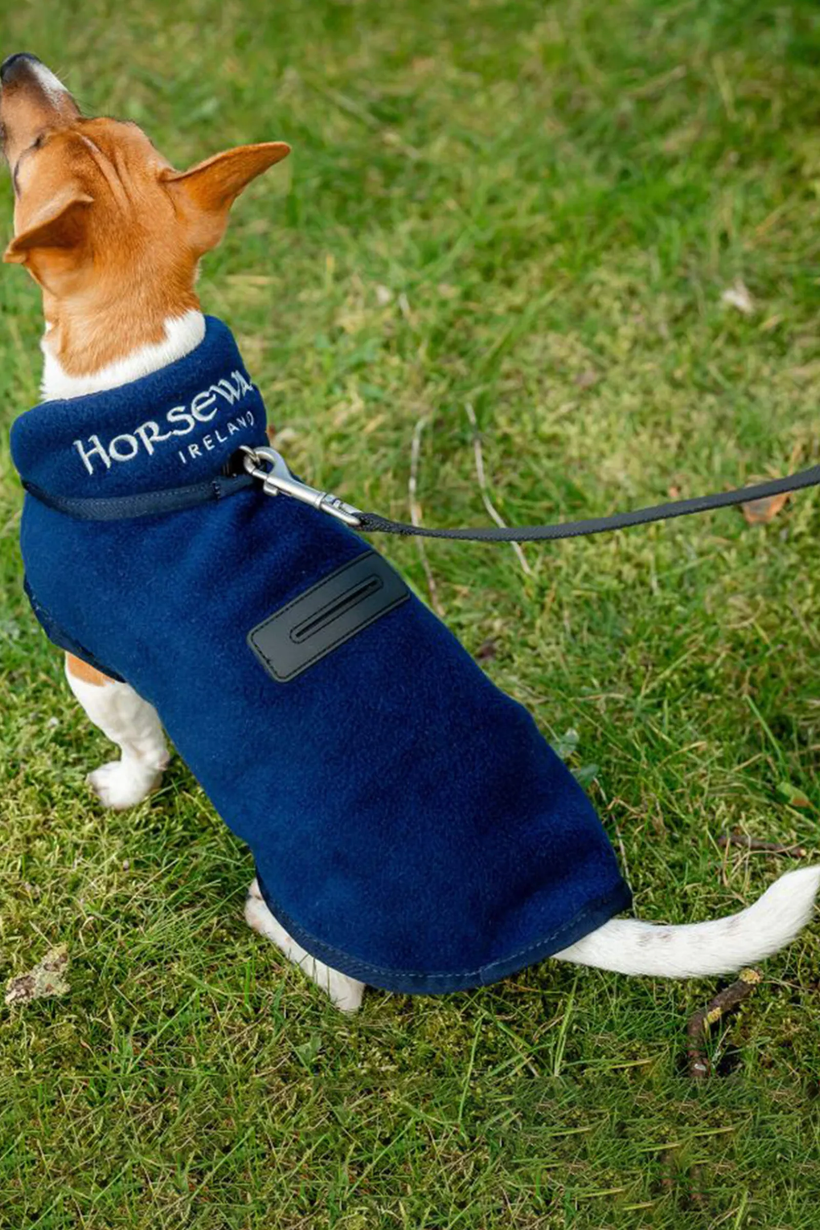 Clearance Signature Dog Fleece Dog Rugs & Coats