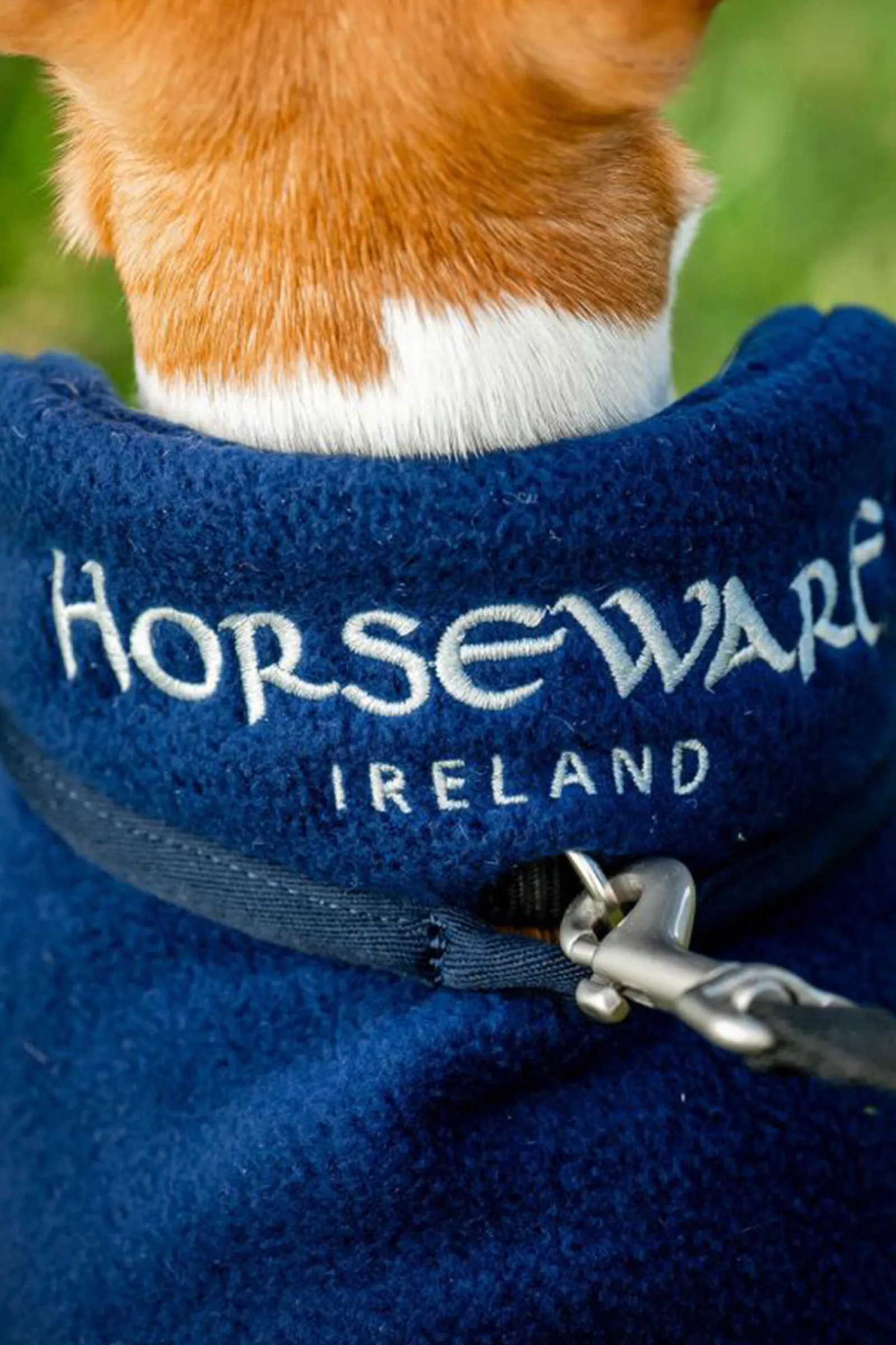Clearance Signature Dog Fleece Dog Rugs & Coats