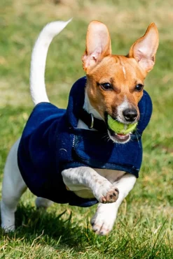 Clearance Signature Dog Fleece Dog Rugs & Coats