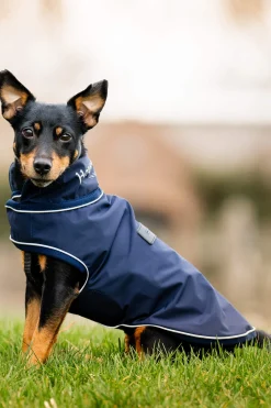 Best Signature Dog Rain Coat Dog Rugs & Coats