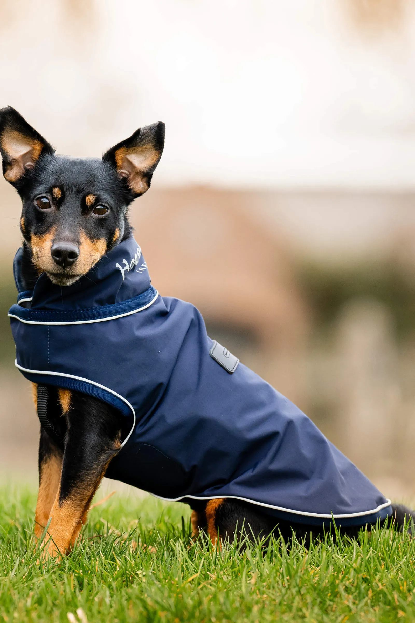 Best Signature Dog Rain Coat Dog Rugs & Coats