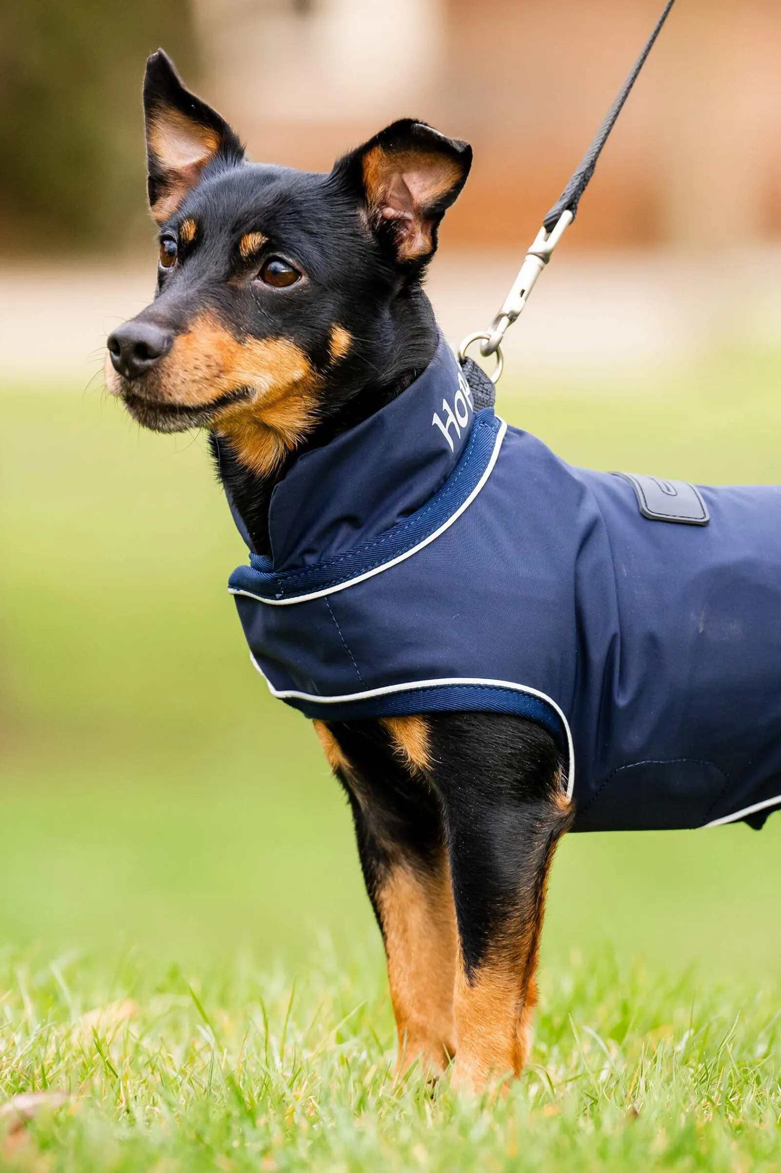 Best Signature Dog Rain Coat Dog Rugs & Coats