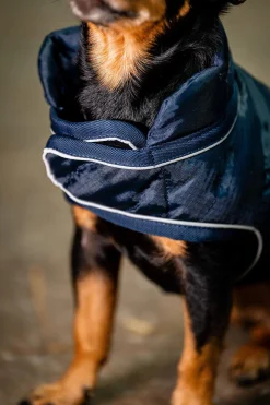 New Signature Dog Rug Dog Rugs & Coats