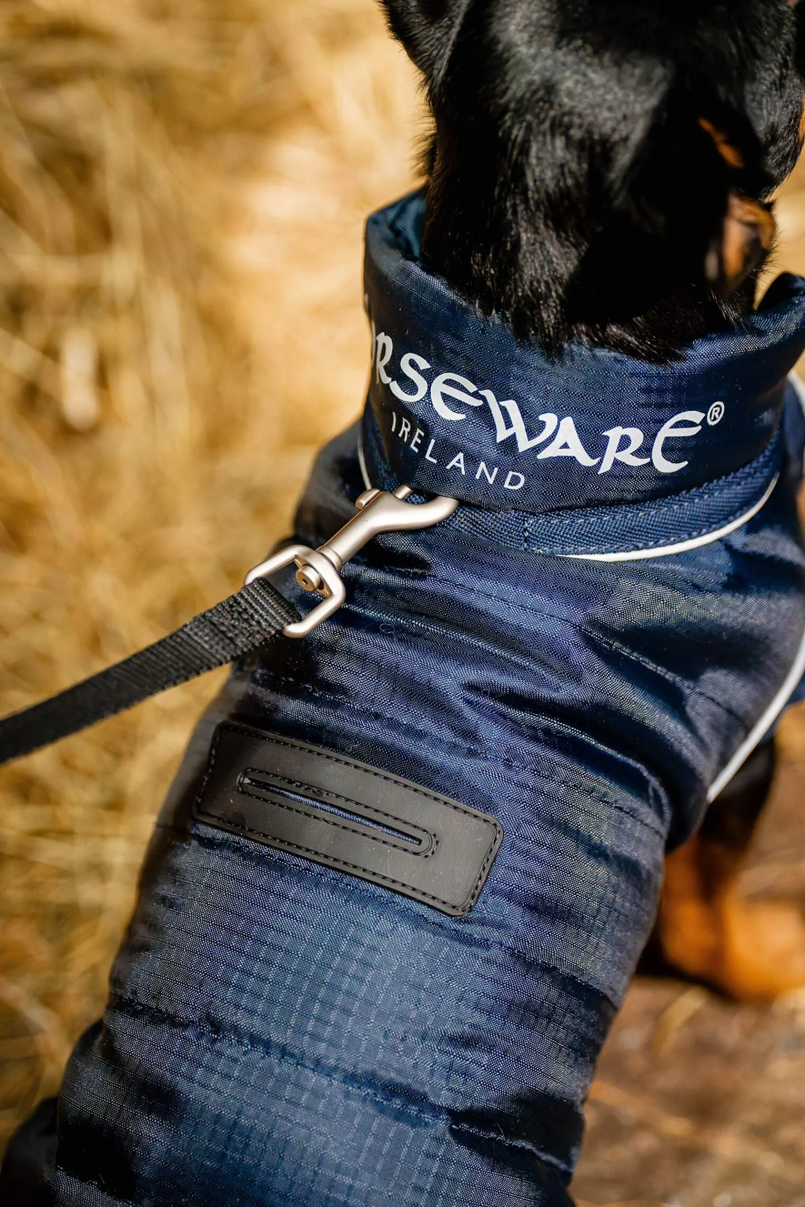 New Signature Dog Rug Dog Rugs & Coats