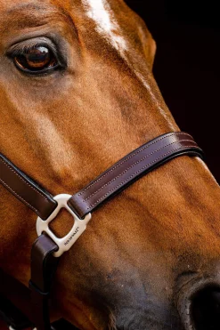 Best Signature Leather Headcollar Leather Headcollars