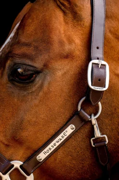 Best Signature Leather Headcollar Leather Headcollars