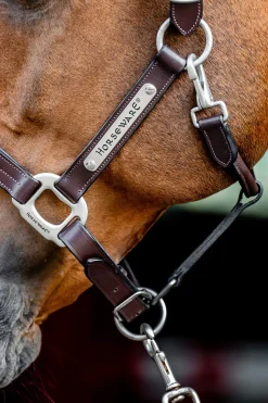 Best Signature Leather Headcollar Leather Headcollars