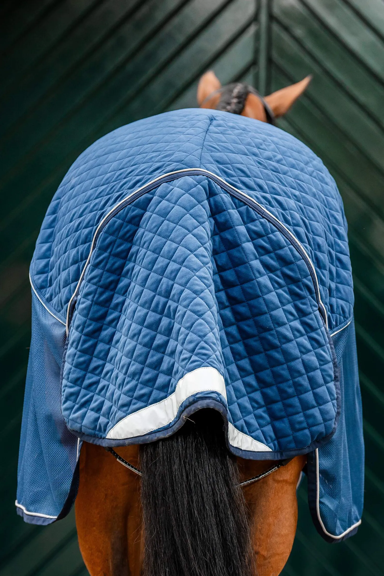 Best Signature Series Travel Rug, 50g Fleece Horse Rugs & Cooler Rugs