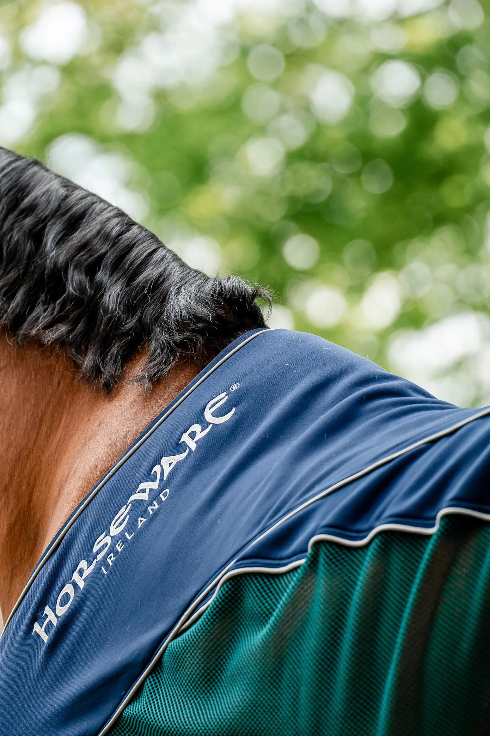 Discount Signature Sport Cooler Fleece Horse Rugs & Cooler Rugs