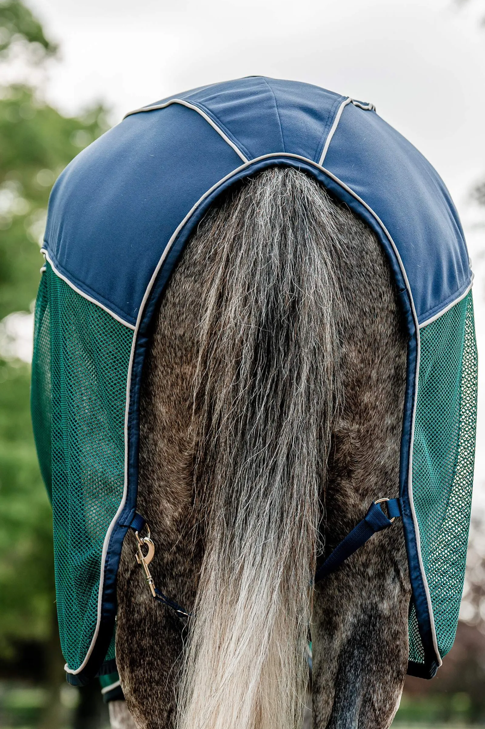 Discount Signature Sport Cooler Fleece Horse Rugs & Cooler Rugs