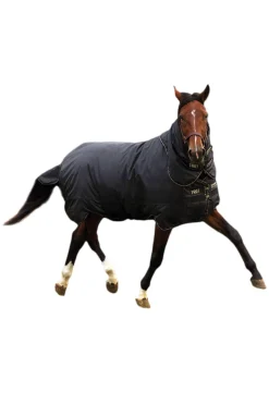Best Trot Plus Turnout Rug With Detachable Neck, 350g Medium & Heavyweight Turnout Rugs