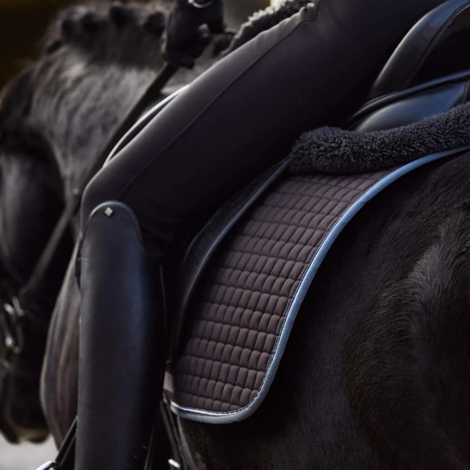 Online Adepto All Purpose Saddle Pad Pony Saddle Pads|All Purpose & Jumping Saddle Pads