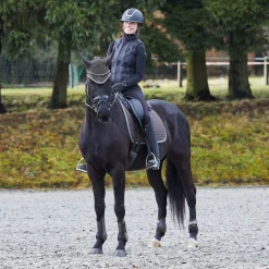 Online Adepto All Purpose Saddle Pad Pony Saddle Pads|All Purpose & Jumping Saddle Pads