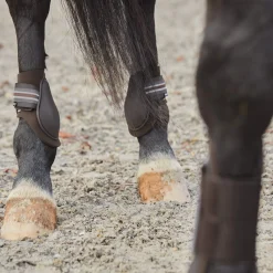 Online Adepto Fetlock Boots Fetlock Boots