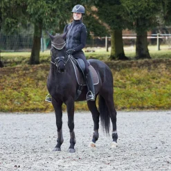Online Adepto Fetlock Boots Fetlock Boots
