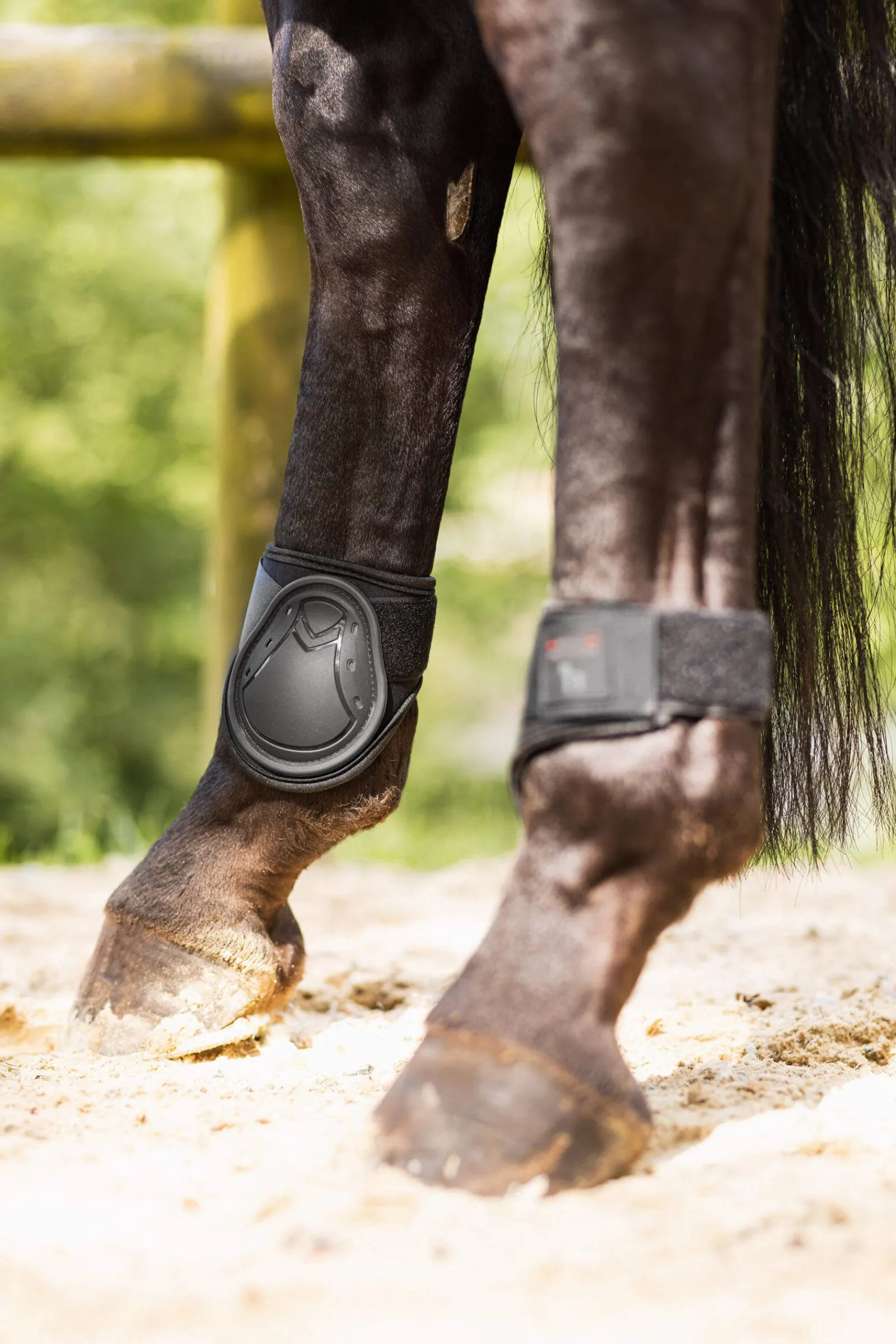 Sale Armour Airflow Tendon & Fetlock Boot Set Horse Boots