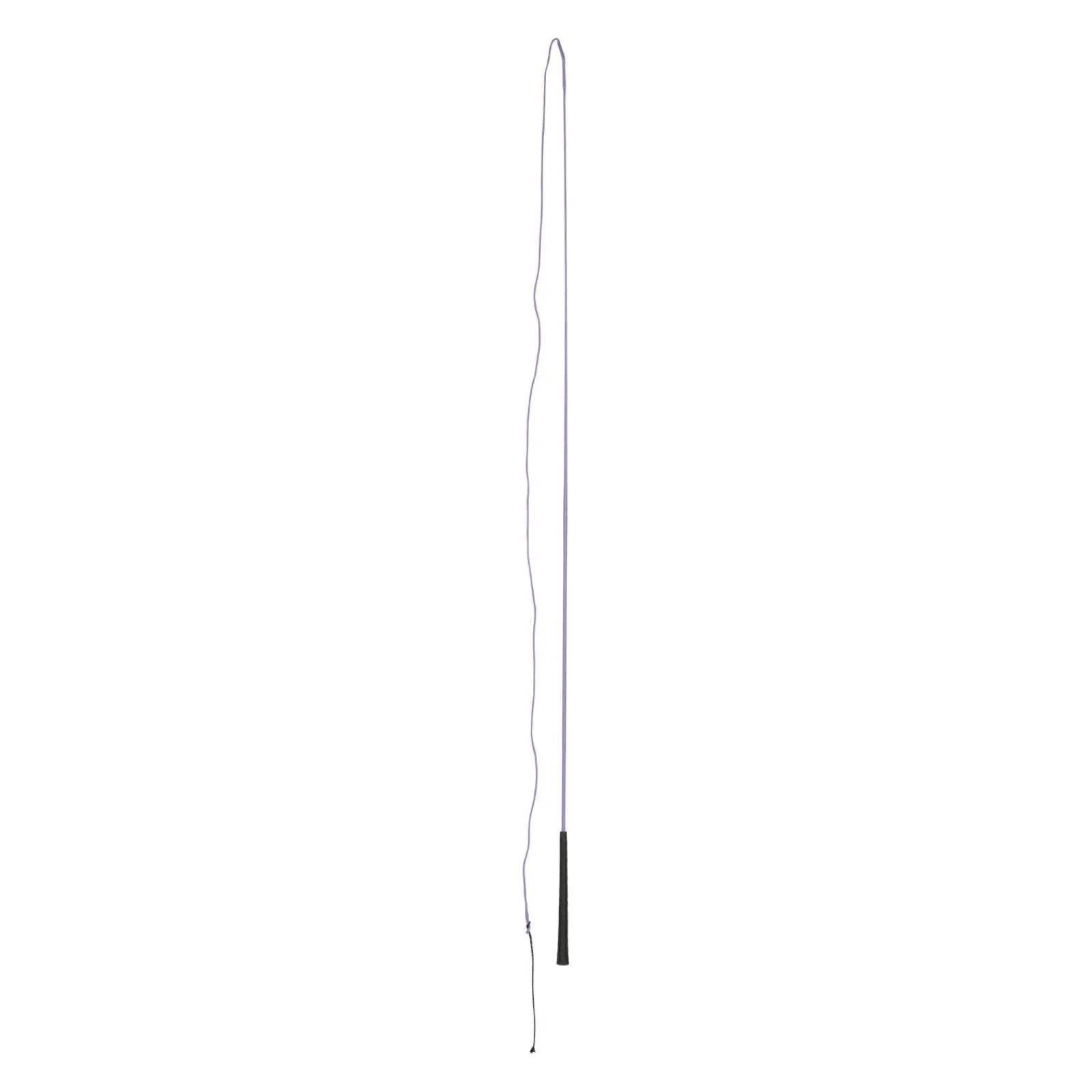 Fashion Austin Lunging Whip Lunging Whips|Lunging Whips