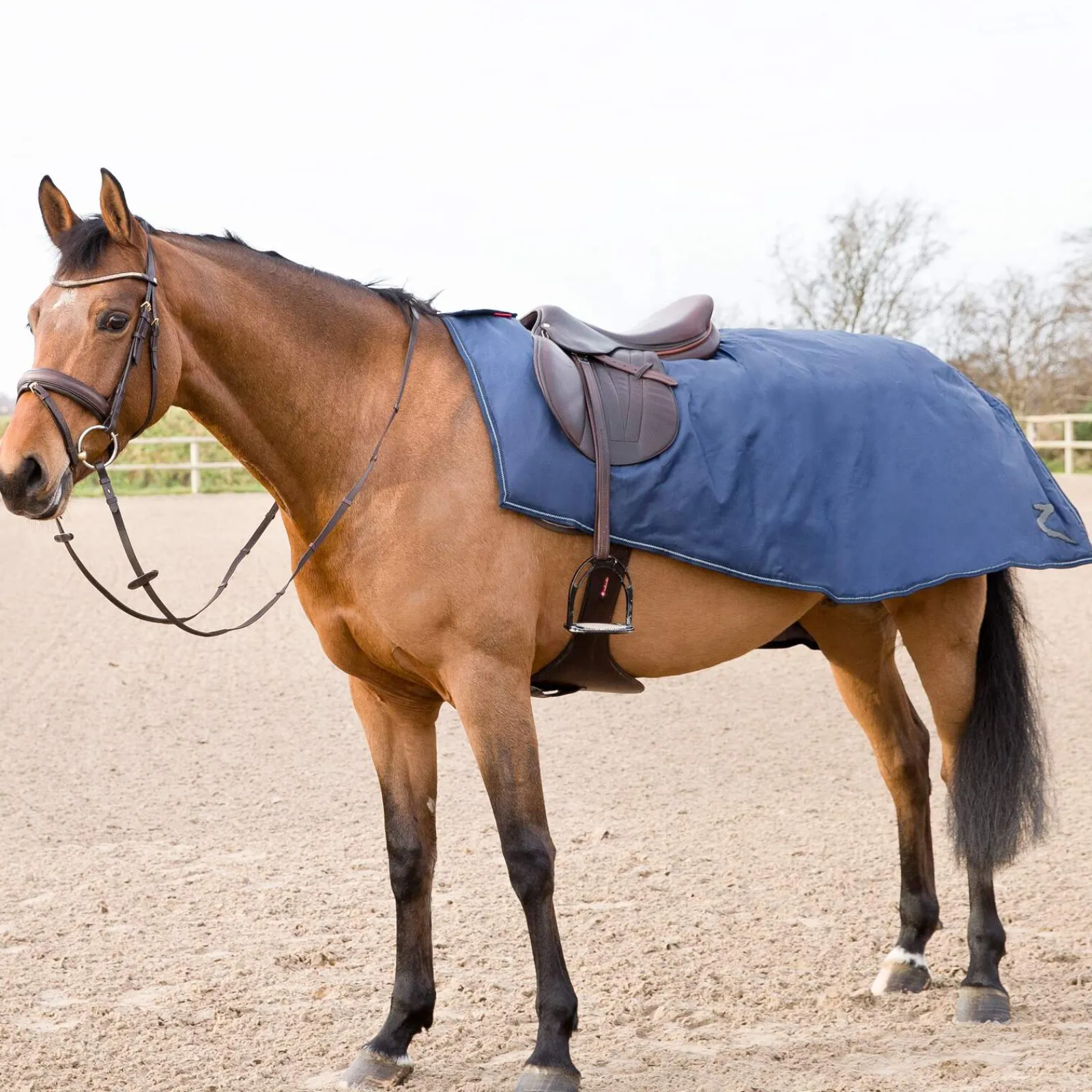 Online Avalanche Riding Rug, 250g Exercise Sheets & Quarter Sheets