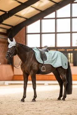 Fashion Avalanche Riding Rug, 150g Exercise Sheets & Quarter Sheets