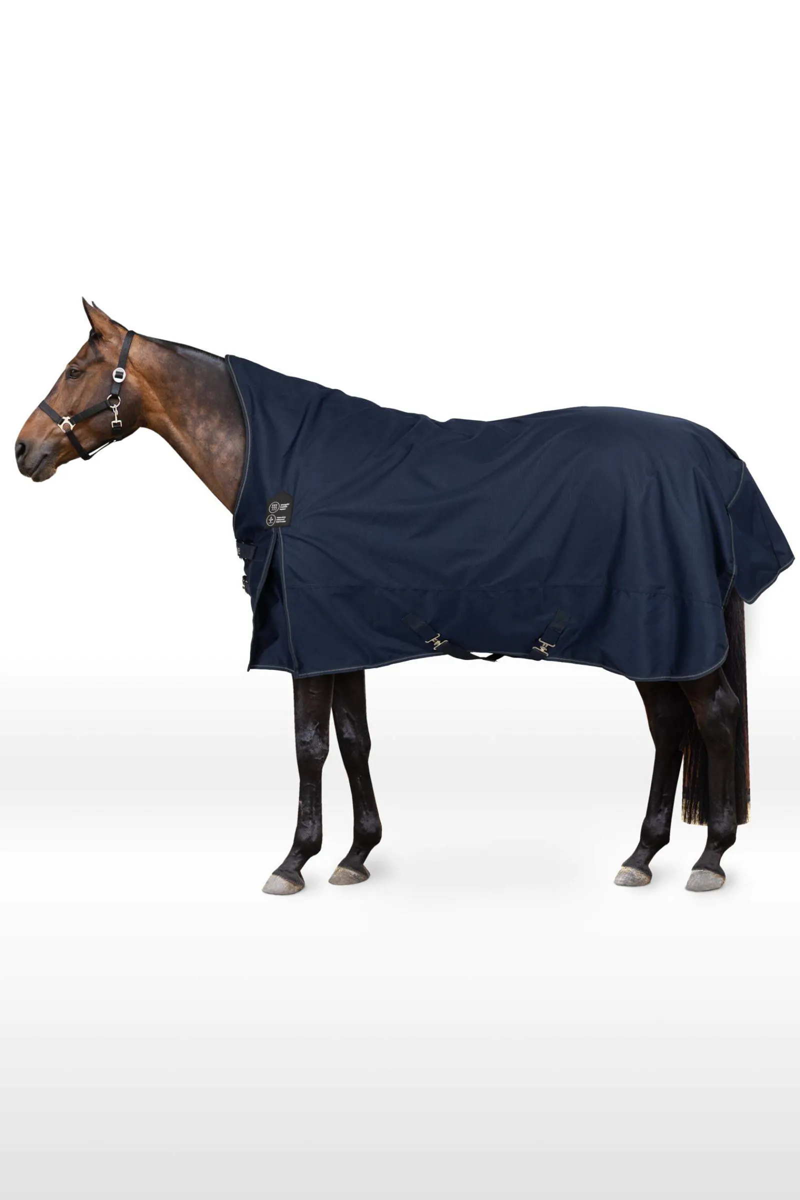 Online Avalanche Turnout Rug, 0g Lightweight Turnout Rugs