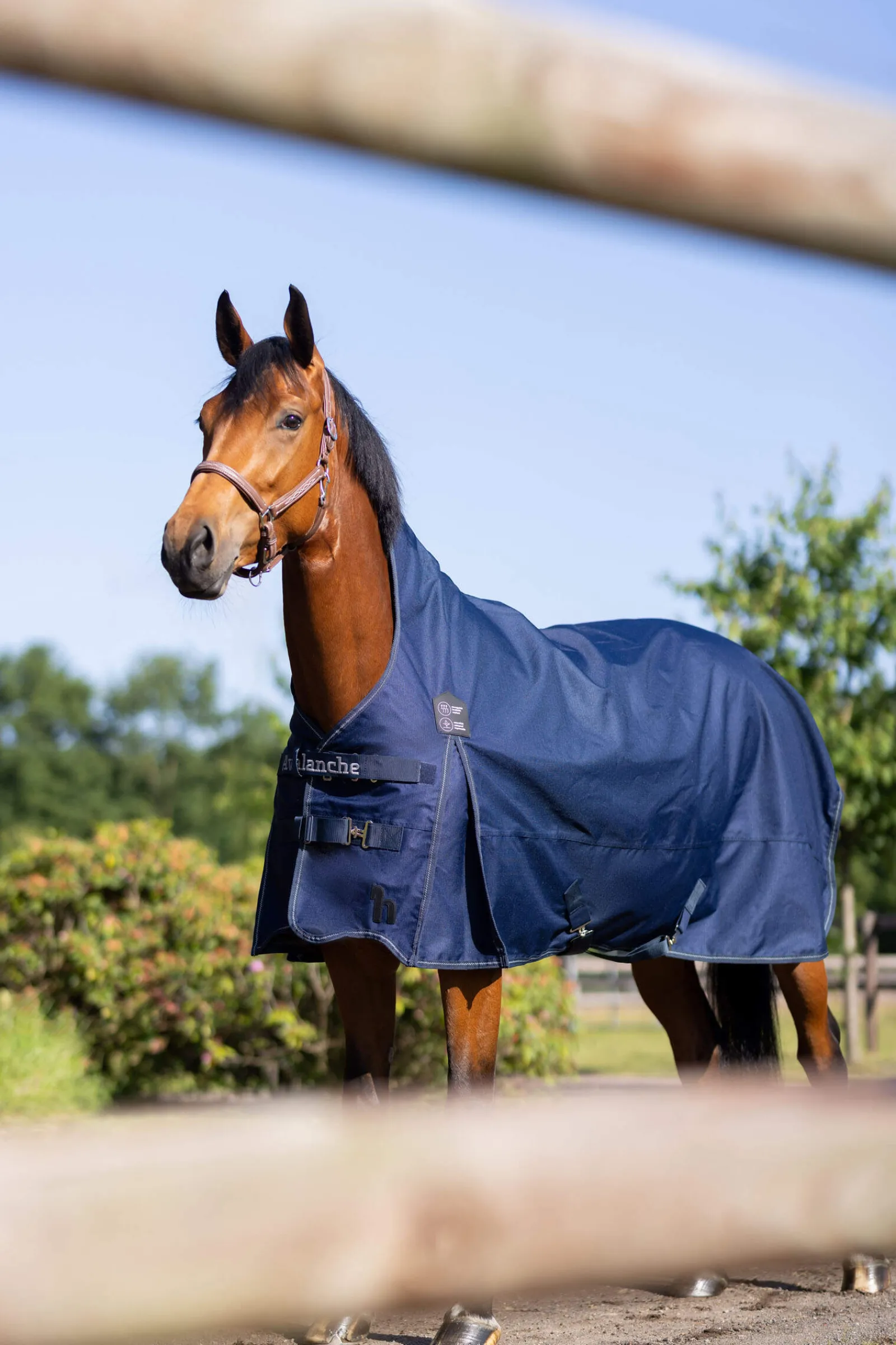 Online Avalanche Turnout Rug, 0g Lightweight Turnout Rugs